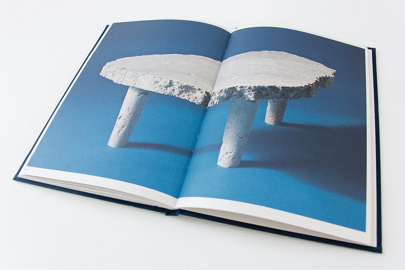 Nicholas Mangan, <em>Notes from a Cretaceous World</em>. Published by The Narrows and Sutton Gallery, Melbourne, 2010. Photography: Warren Taylor