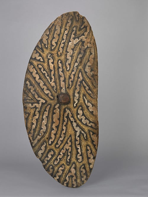 Shield. Rainforest peoples. Collected from Rockingham Bay by John Ewen Davidson in 1866–68. Image courtesy of The Trustees of the British Museum.