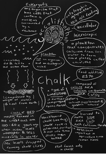 Nathan Gray, <em>Chalk</em> 2016. Chalk on paper. Image courtesy the artist