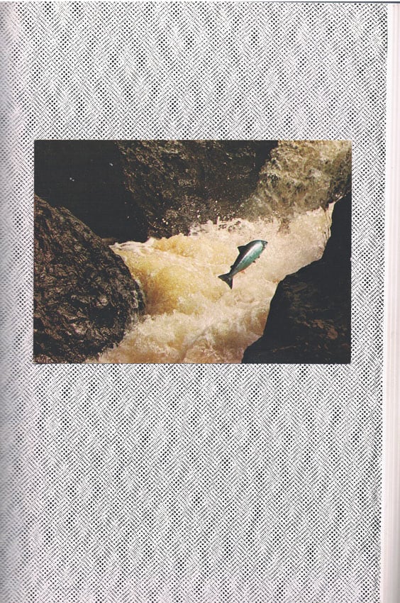 Steven Rhall, <em>Salmon daemon</em> 2018, collage/print, 21 x 31.6cm. Image courtesy the artist.