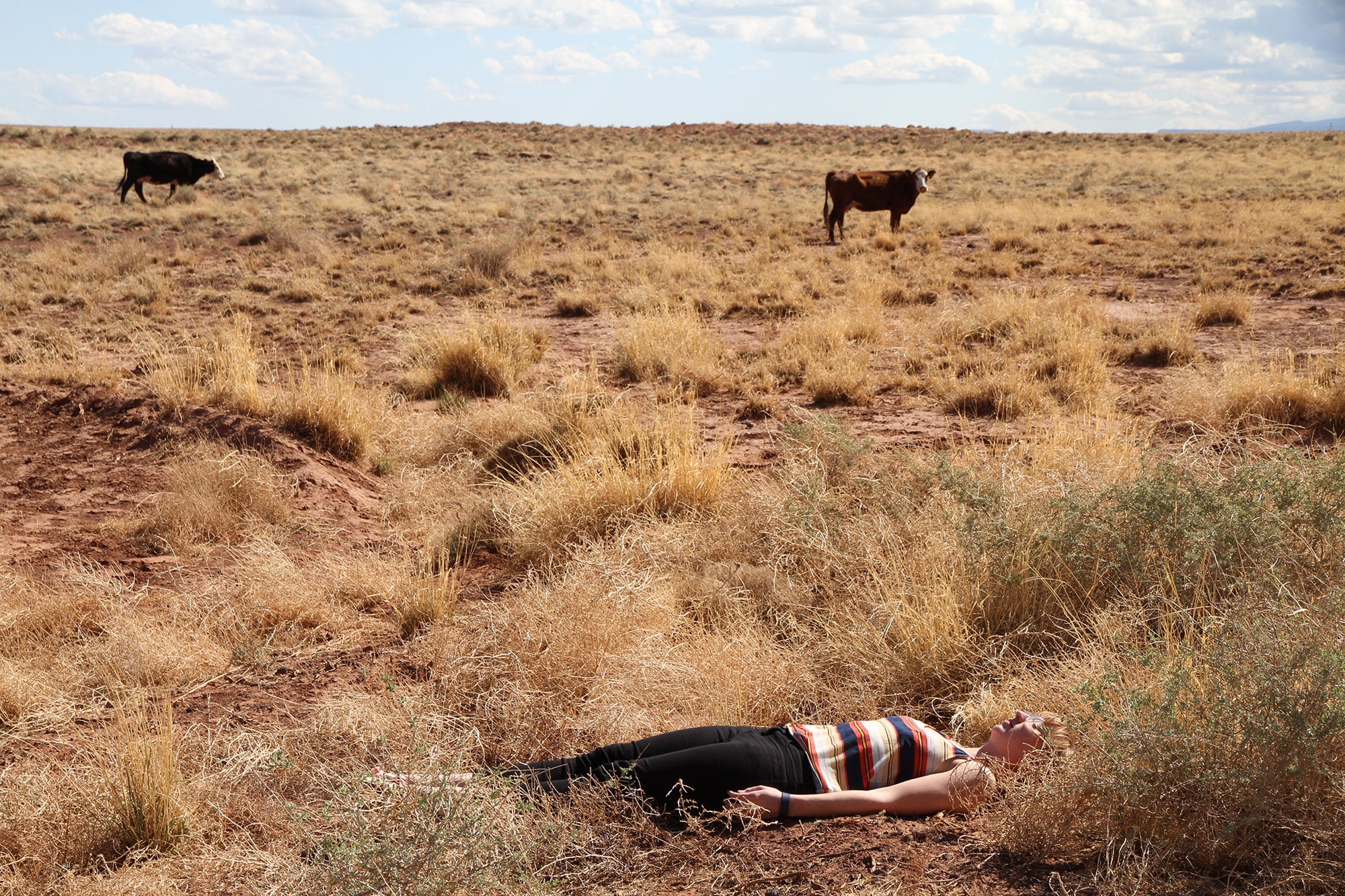 Logan MacDonald and Lisa Visser, Getting Laid in America (2011), photography.