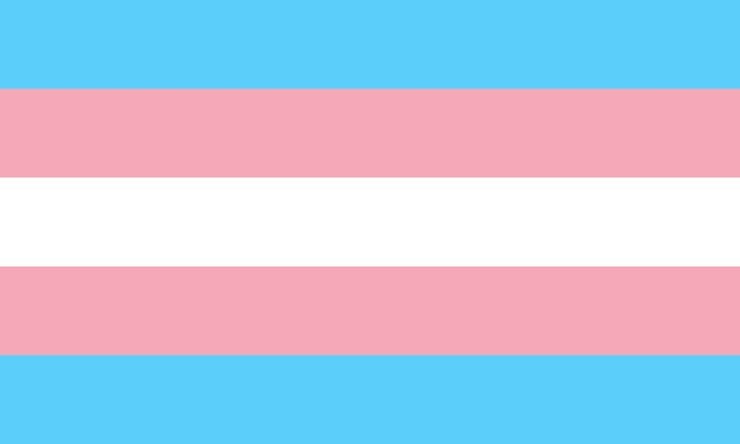 Monica Helms, 'Transgender Pride Flag, 1999'. Image via Wikimedia Commons.