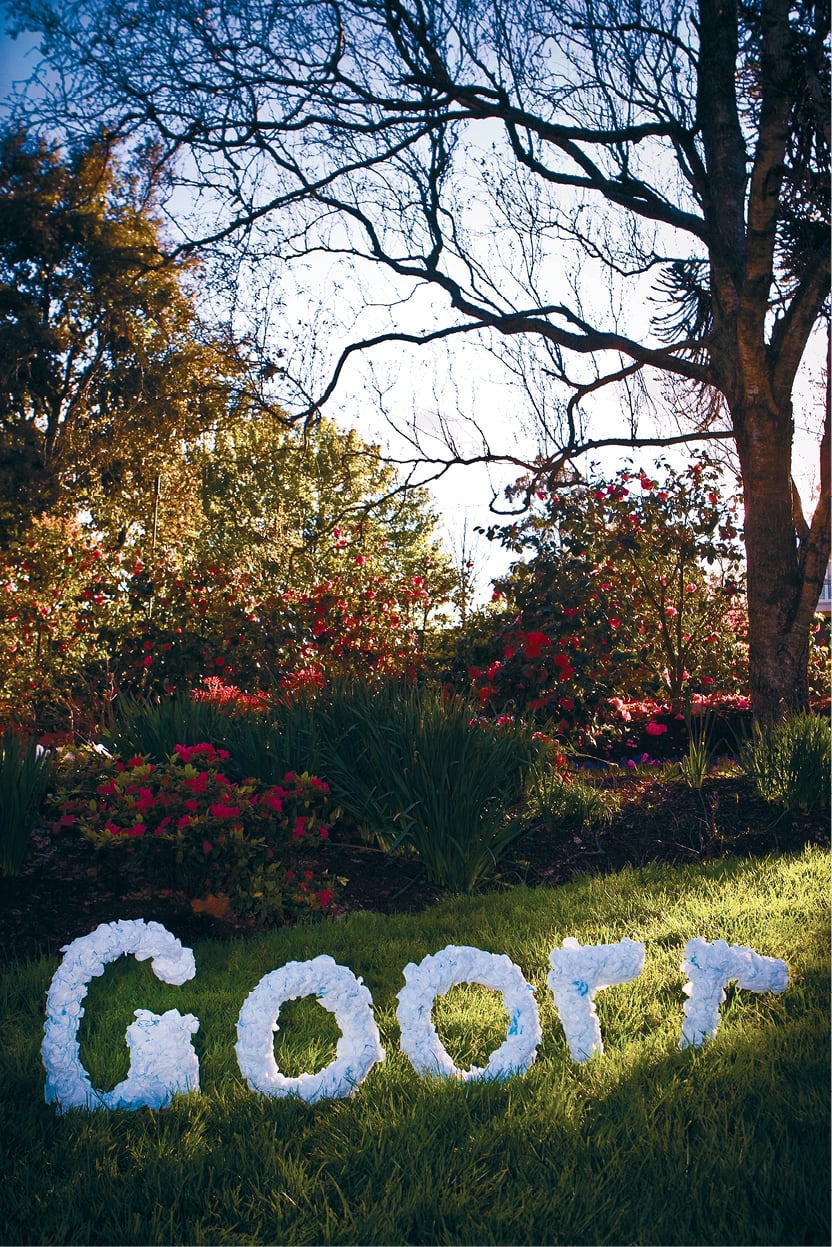 Bindi Cole, <em>Goorr / Flower</em>, c-type photograph, 2009, image courtesy Bindi Cole