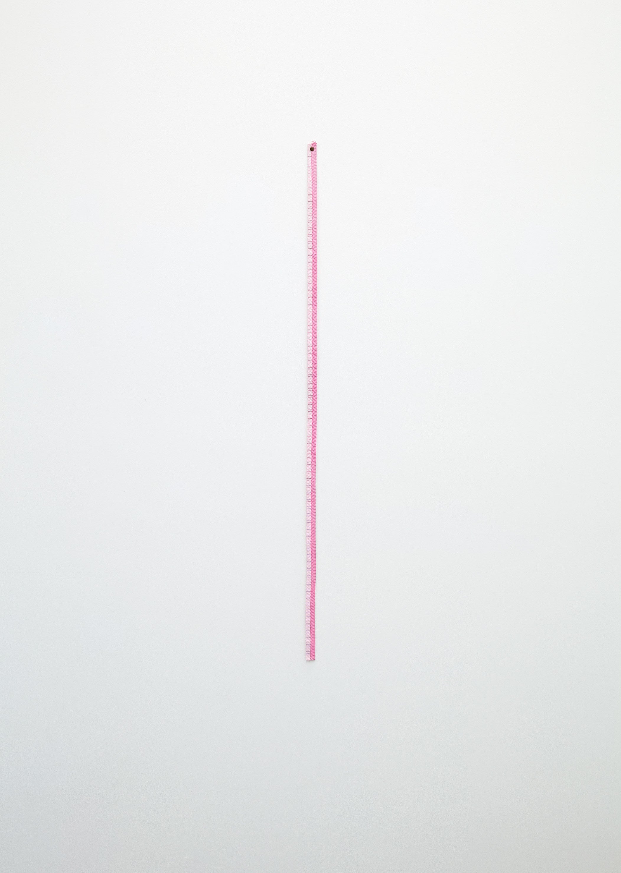 <strong>Patrick Lundberg</strong><br><em>Untitled</em> 2011<br>gesso, gouache and coloured pencil on shoelace<br>111.0 × 2.0 cm<br>Courtesy the artist and Robert Heald Gallery<br>Photo credit: Shaun Waugh