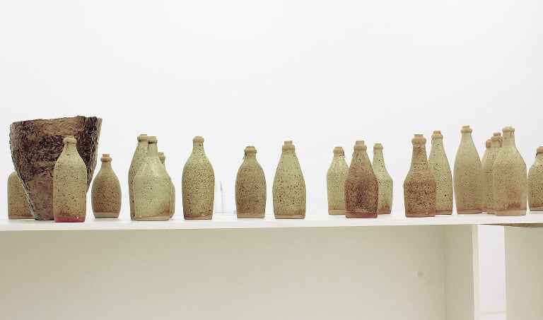 Jacob Ogden Smith<br>Hovea Pottert Ale: Quite a few bottles, some large pots and a video 2012<br>installation view<br>OK Gallery, Perth<br>Image courtesy the artist and OK Gallery