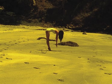 Sriwhana Spong<br>Beach Study 2012<br>16mm film transferred to HD<br>Images courtesy the artist and Michael Lett<br>
