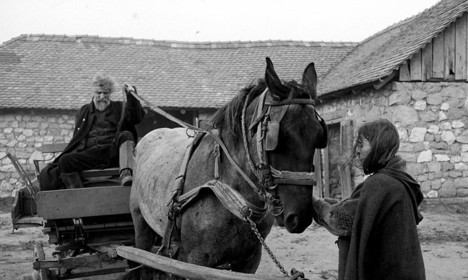 Image from The Turin Horse 2011, dir. Béla Tarr with Ágnes Hranitzky, copyright TT Fimmuhely