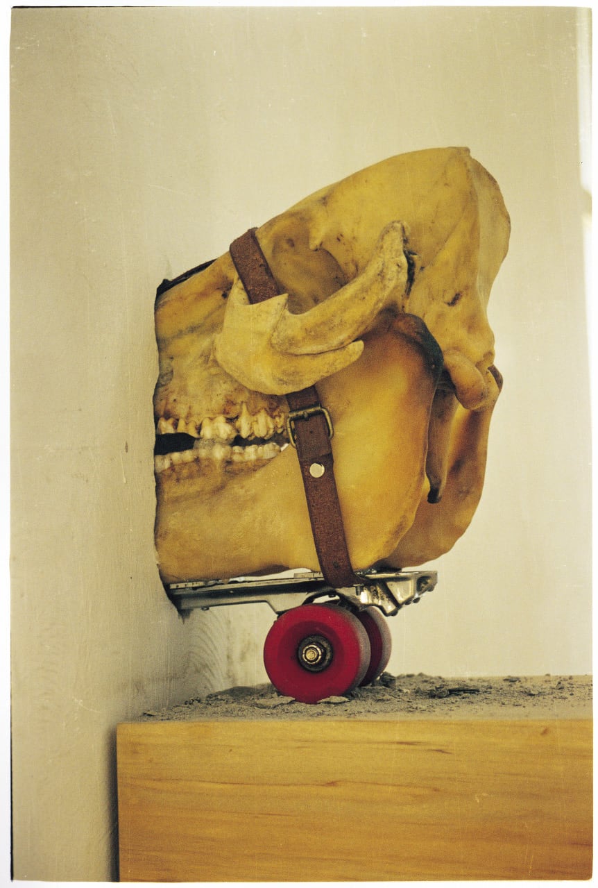 Agus Suwage, <em>Perjalanan tamat / The final journey</em>, 2001, pigskull, leather, rollerskate, wood (detail)