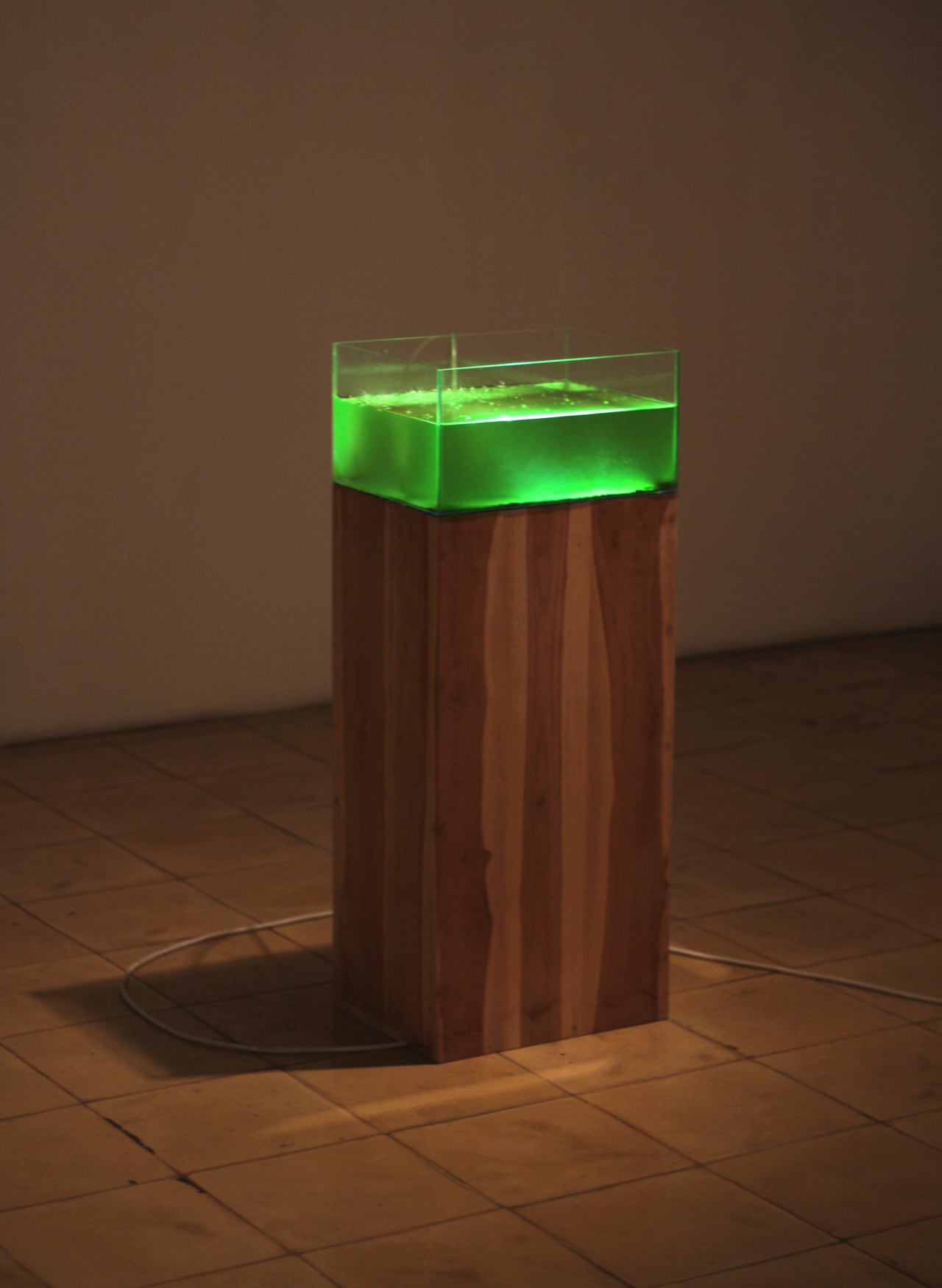 Image 01: Alex Cuffe, 'Algae Sweat', algae, pocari sweat, water, glass, wood, air pump, light, 2012.
