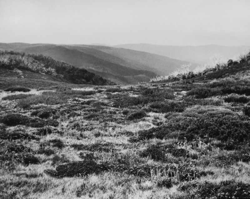 Amanda Williams, 'Bogong High Plains, Alpine National Park (4582/16)' 2020, gelatin silver print on fibre-based paper, 108 x 136 cm, 2 versions + 1 artist proof. The artist pays her respects to the traditional Aboriginal owners of the alpine lands on which these photographs were taken. Courtesy The Commercial, Sydney.