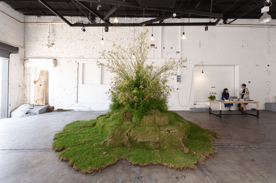 Image 04: Alisa Anderson, 'Meristem' (installation detail), 2020. Courtesy Terrain Projects.
