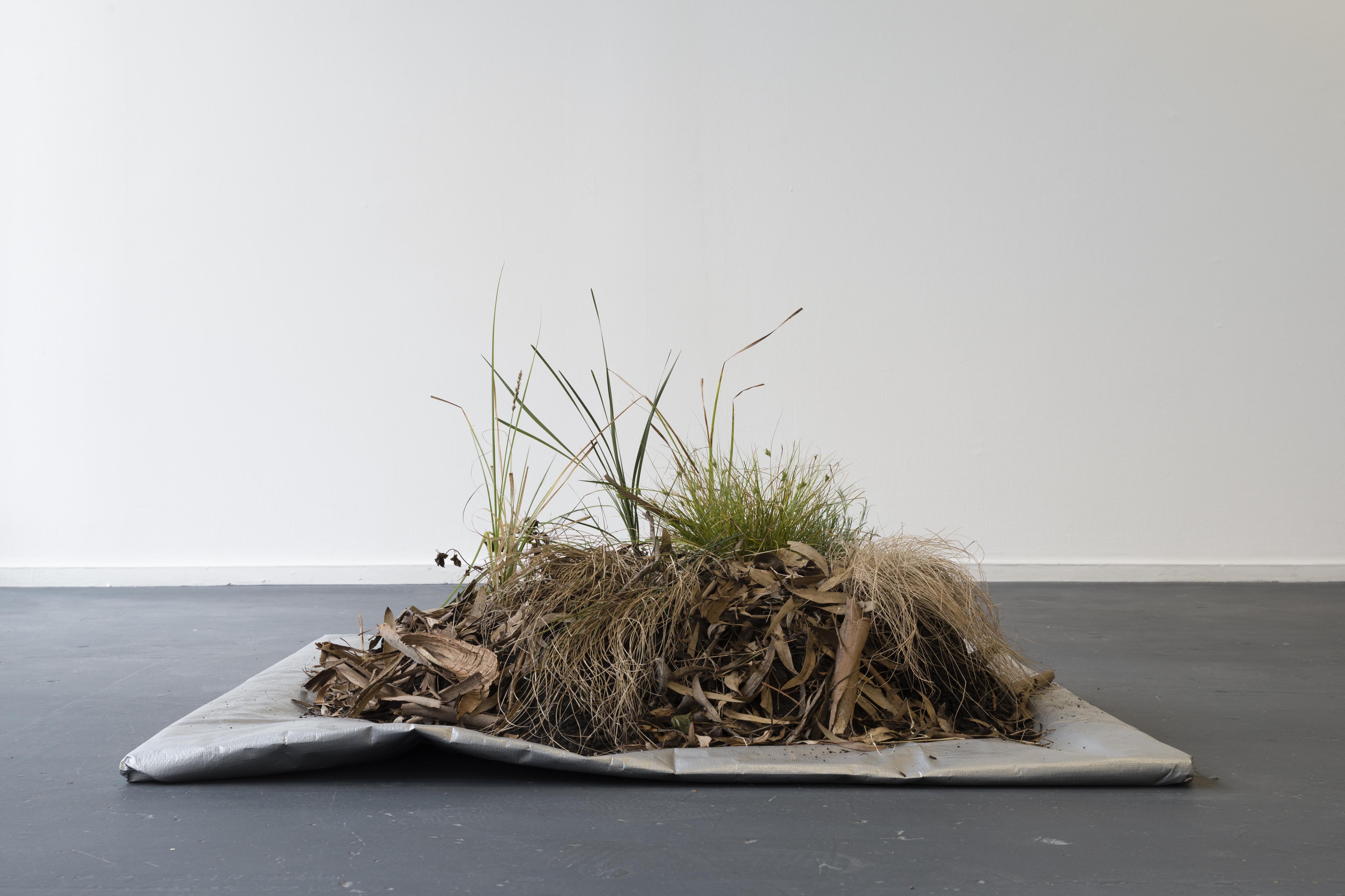 Image 01: Katie West, 'One square metre' (2018), tarp, soils, plants endemic to Naarm, 1m x 1m. Photo: Chris Bowes.