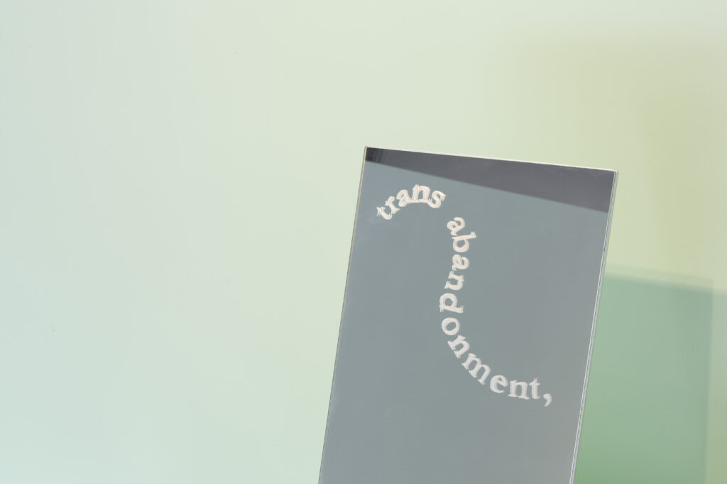 A detail photo of a mirror against a mint green background. The words 'trans abandonment' are etched into the mirror in an 'S' shaped line.